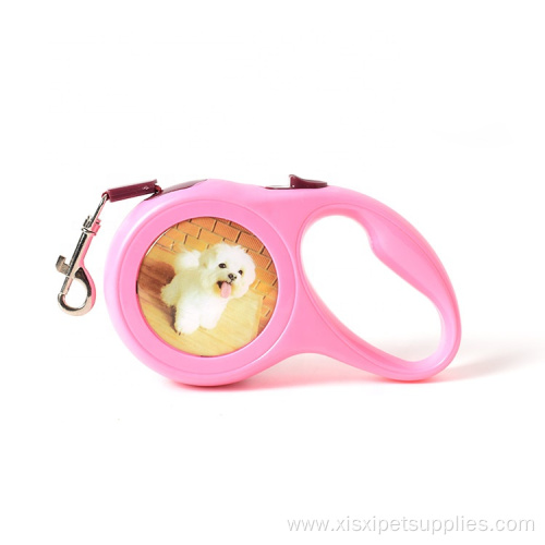 Low Price Wholesale High Quality Adjustable Dog Leash